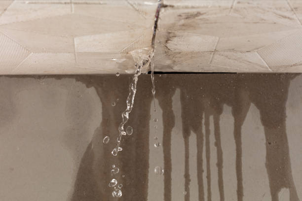 Professional Structural Drying technician working in Merrill, MI